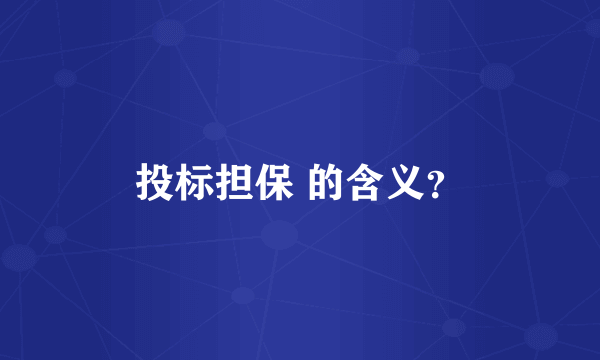 投标担保 的含义？