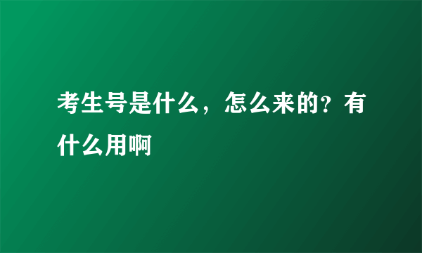 考生号是什么，怎么来的？有什么用啊