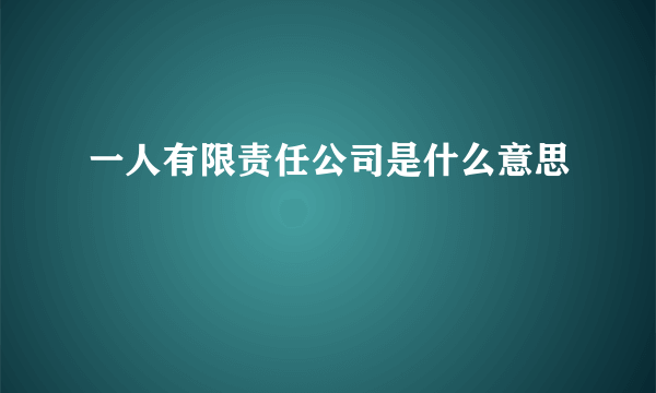 一人有限责任公司是什么意思