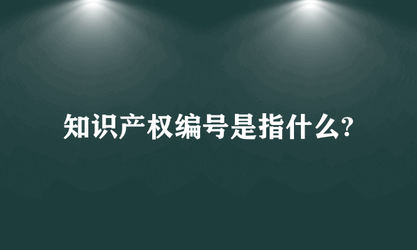 知识产权编号是指什么?