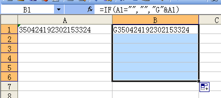 wps excel 身份证前加G