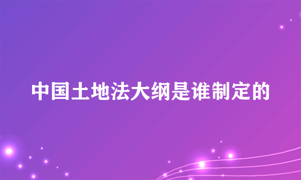 中国土地法大纲是谁制定的