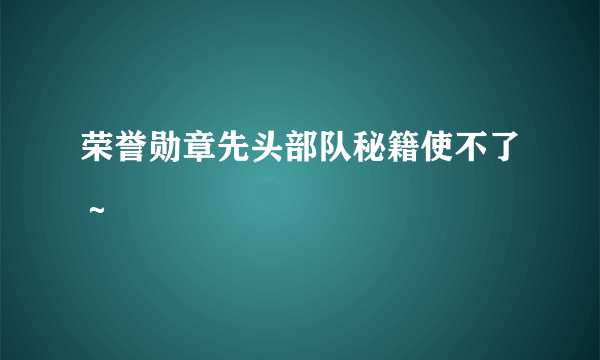 荣誉勋章先头部队秘籍使不了～