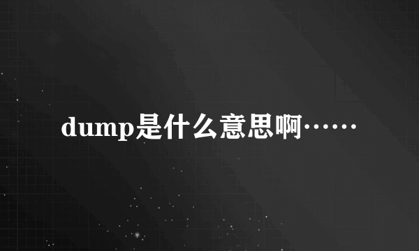 dump是什么意思啊……