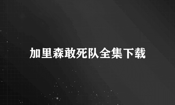 加里森敢死队全集下载