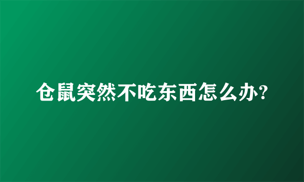 仓鼠突然不吃东西怎么办?