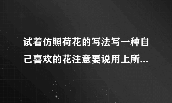 试着仿照荷花的写法写一种自己喜欢的花注意要说用上所学的修辞手法