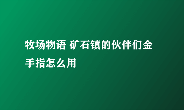 牧场物语 矿石镇的伙伴们金手指怎么用