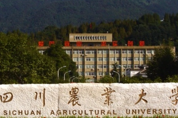 四川最好的大学是哪一个