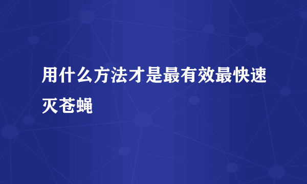 用什么方法才是最有效最快速灭苍蝇