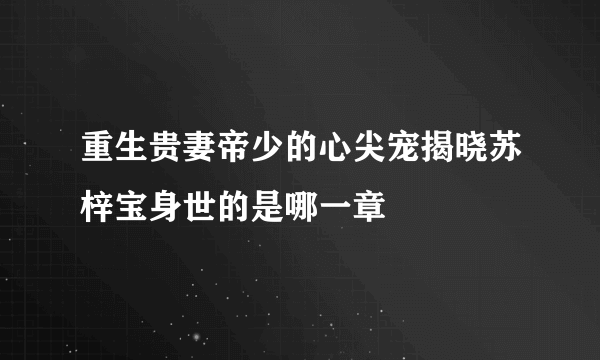 重生贵妻帝少的心尖宠揭晓苏梓宝身世的是哪一章