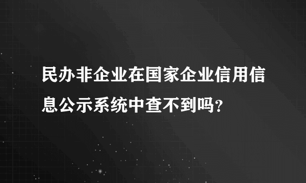 民办非企业在国家企业信用信息公示系统中查不到吗？