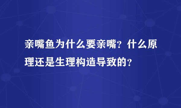 亲嘴鱼为什么要亲嘴？什么原理还是生理构造导致的？