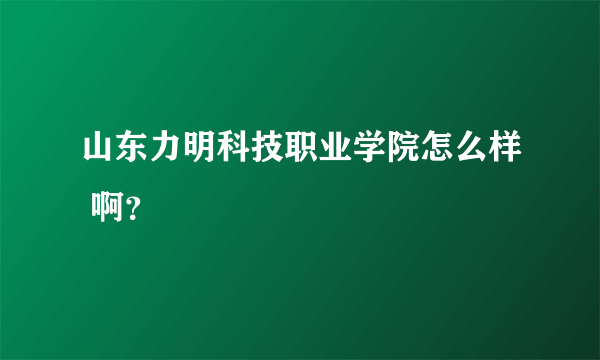 山东力明科技职业学院怎么样 啊？