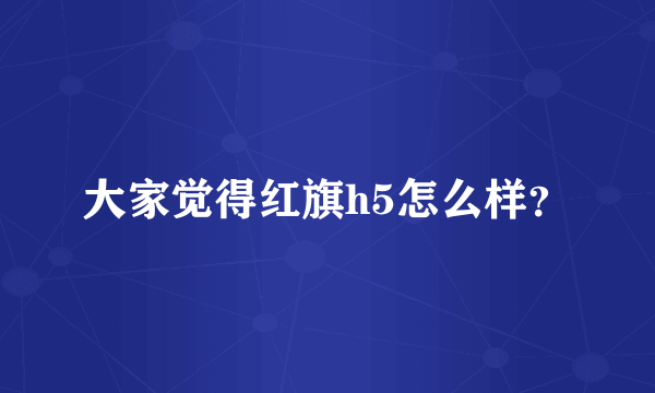 大家觉得红旗h5怎么样？