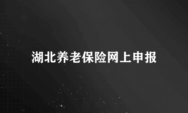 湖北养老保险网上申报