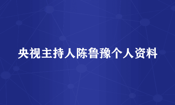 央视主持人陈鲁豫个人资料