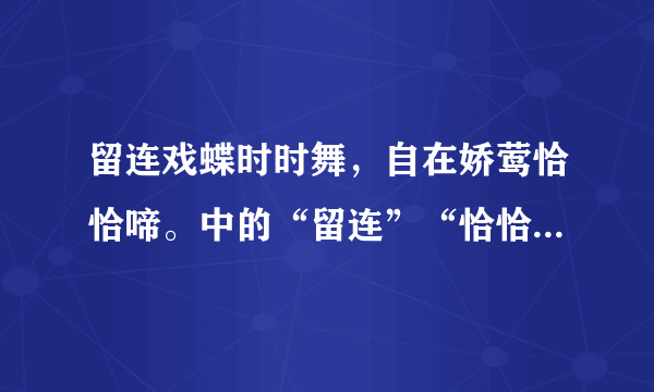 留连戏蝶时时舞，自在娇莺恰恰啼。中的“留连”“恰恰”什么意思？