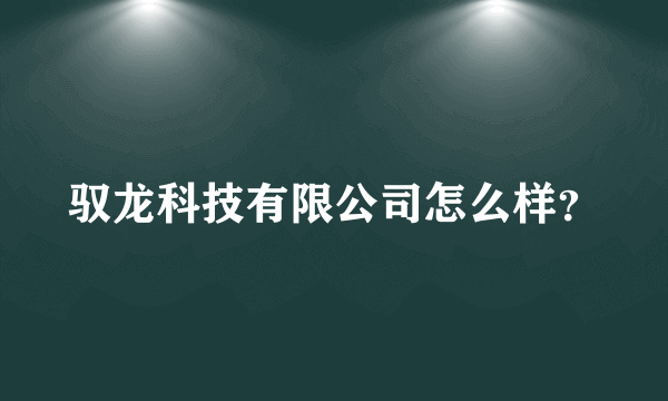 驭龙科技有限公司怎么样？