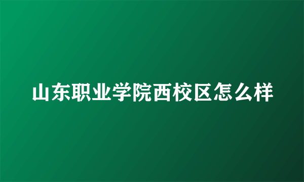 山东职业学院西校区怎么样