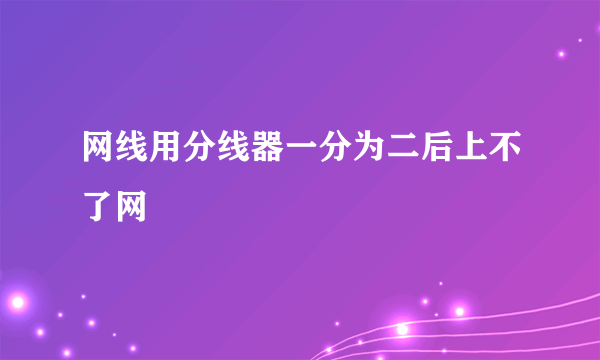 网线用分线器一分为二后上不了网