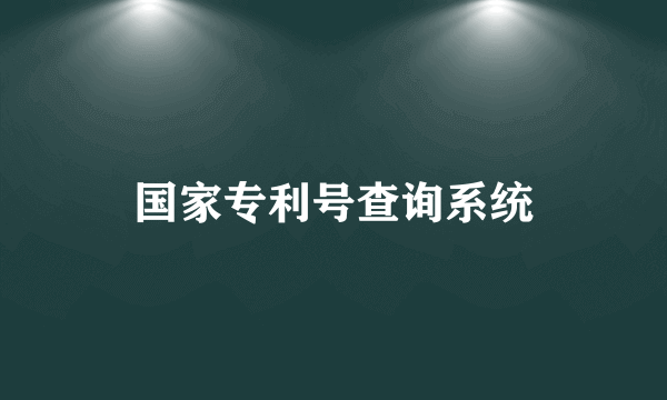 国家专利号查询系统