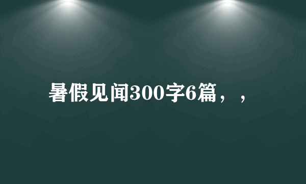 暑假见闻300字6篇，，