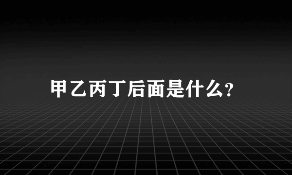 甲乙丙丁后面是什么？