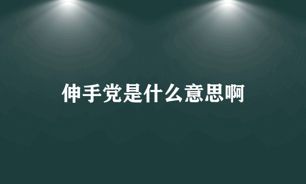 伸手党是什么意思啊