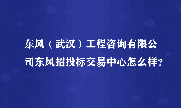 东风（武汉）工程咨询有限公司东风招投标交易中心怎么样？