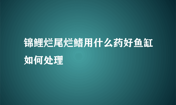 锦鲤烂尾烂鳍用什么药好鱼缸如何处理