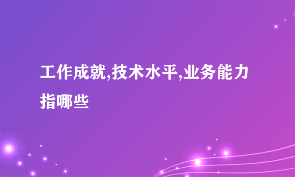 工作成就,技术水平,业务能力指哪些