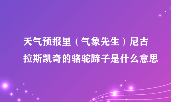 天气预报里（气象先生）尼古拉斯凯奇的骆驼蹄子是什么意思