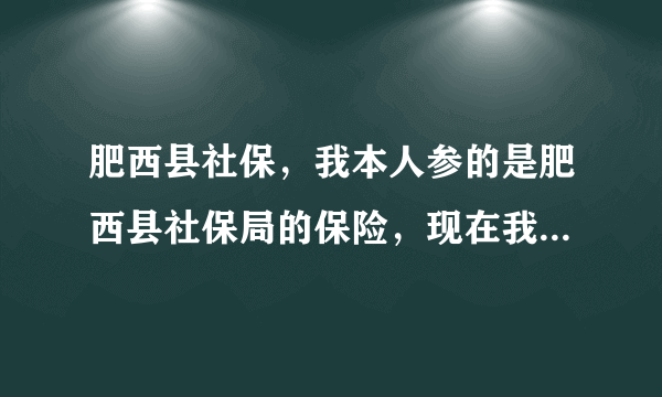 肥西县社保，我本人参的是肥西县社保局的保险，现在我想在网上查询一下我的个人信息，请问：如何查询？