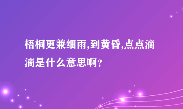 梧桐更兼细雨,到黄昏,点点滴滴是什么意思啊？