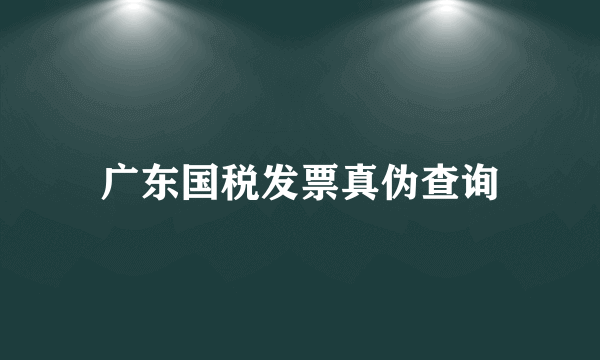 广东国税发票真伪查询