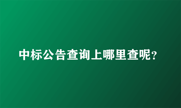 中标公告查询上哪里查呢？