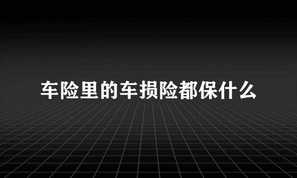 车险里的车损险都保什么