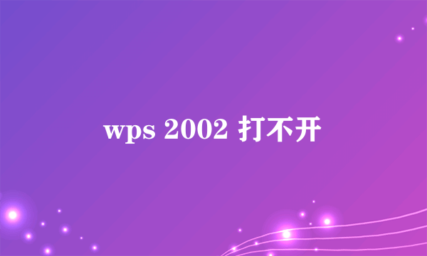 wps 2002 打不开