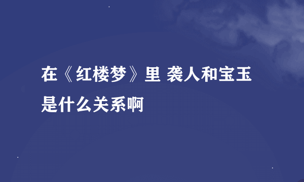 在《红楼梦》里 袭人和宝玉是什么关系啊