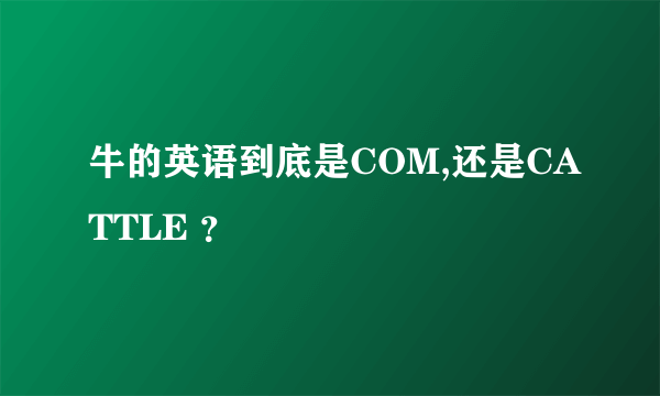 牛的英语到底是COM,还是CATTLE ？