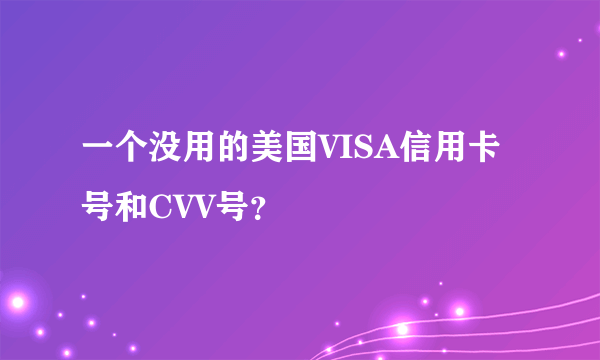 一个没用的美国VISA信用卡号和CVV号？