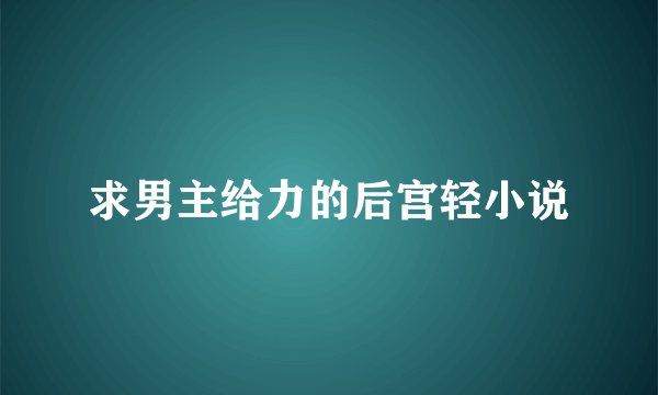 求男主给力的后宫轻小说