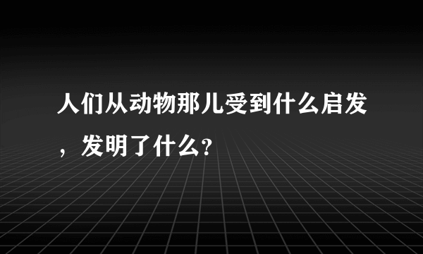 人们从动物那儿受到什么启发，发明了什么？