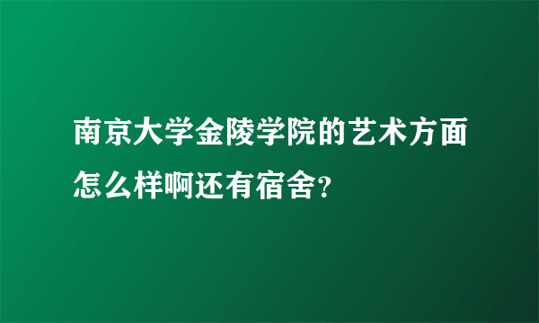 南京大学金陵学院的艺术方面怎么样啊还有宿舍？