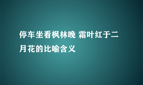 停车坐看枫林晚 霜叶红于二月花的比喻含义