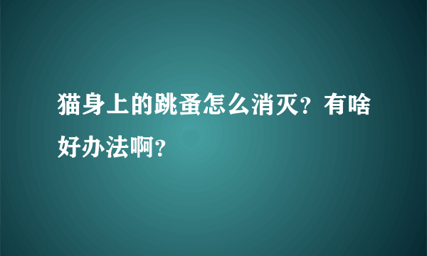 猫身上的跳蚤怎么消灭？有啥好办法啊？