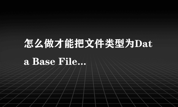 怎么做才能把文件类型为Data Base File (.db)更为office2003能打开的文件