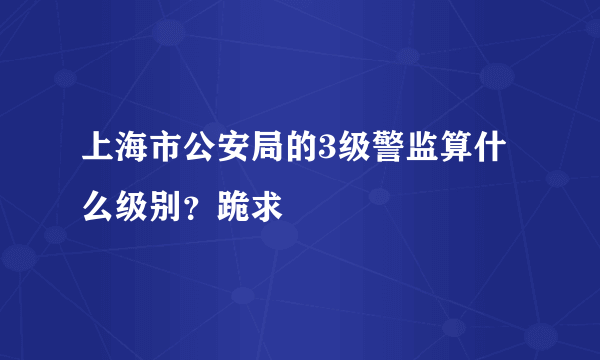 上海市公安局的3级警监算什么级别？跪求