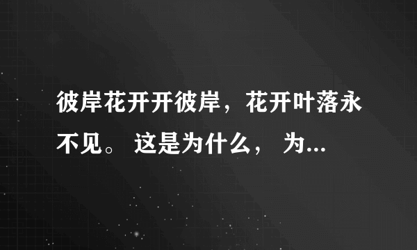 彼岸花开开彼岸，花开叶落永不见。 这是为什么， 为什么花叶不能相见呢......谁能给我个答案呢..........